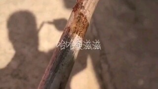 恶狗还得恶狗治