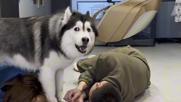 Everyone has someone they’re determined to protect.