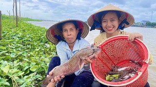 Ra Sông Dở Dớn Cùng Cô Tư Trúng Mẻ CÁ XÁC Đem Về Kho tiêu Béo Ngậy | NĐMT#269