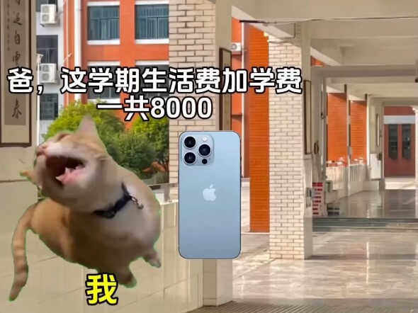 Who’s disappeared on whom?