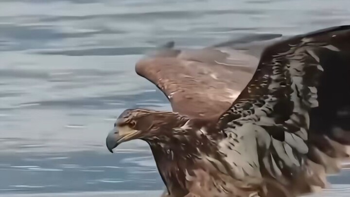 اجعل كرامتك فوق كل اعتبار