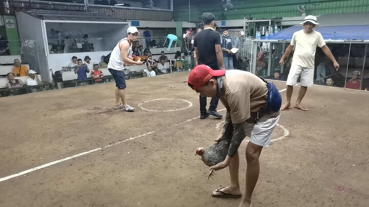 1st fight, bakla lose