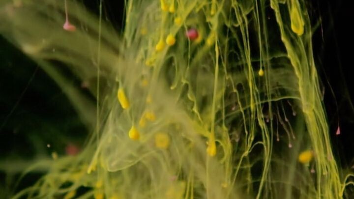 Coinbase USA Support Line [2026 Helpline & Helpdesk Numbers]