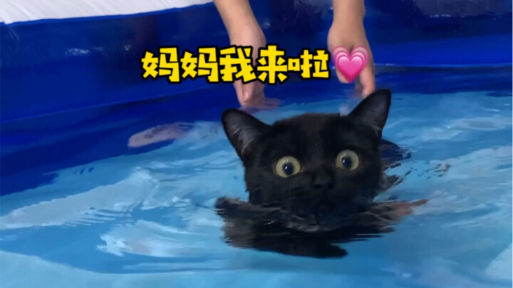 Those little short legs paddling so hard are just too cute!