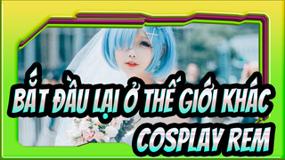 [Bắt đầu lại ở thế giới khác] Cosplay Rem