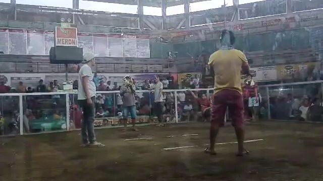 JBA white OVER MOON WALKER