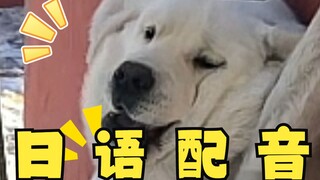 Kait perbaikan aneh, tetapi versi Jepang