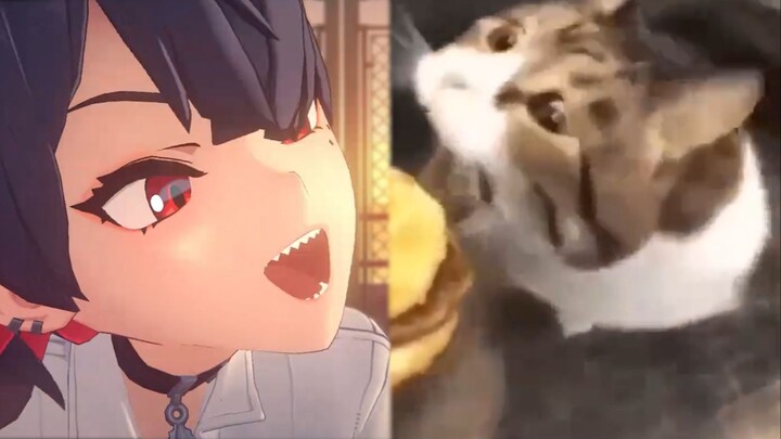 “Baru aja mulai uji coba resmi, developer sama pemain udah mau nerapin hard control?!”