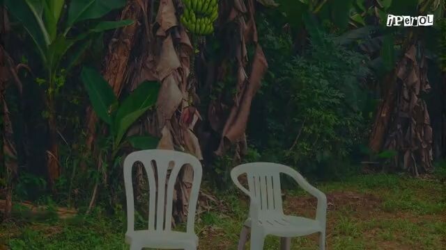 Bad Bunny - DtMF (Letra)