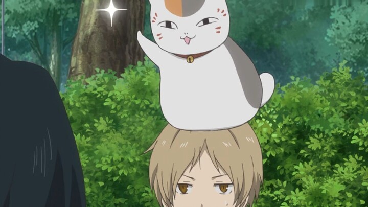 The cat teacher has a little fan