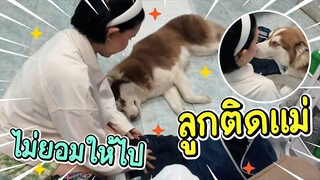 พากย์อีสานบ้านข้าวนึ่ง Ep.2 - จั่งใด๋คือมาหนีกันไปแบบนี้ - ข้าวนึ่ง & เดอะแก๊ง