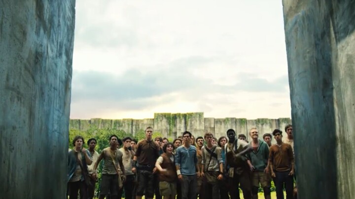 เขาวงกตนี้คือคุก และยังเป็นแนวป้องกันสุดท้ายที่ปกป้องพวกเขา #เขาวงกตมูฟวี่ #กลุ่มบรรยายเจ๋งๆ #โครงกา