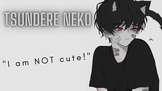 Tsundere Catboy is mad at you [Reverse Comfort] [Asmr Neko Boyfriend Roleplay] M4A m4m m4f