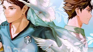 2023及川彻生贺｜”我曾遇见一片海，也见到花开。”