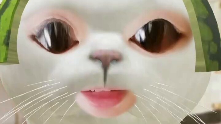 จ่าวลู่ซี่ มาแสดงไพ่ของคุณกันเถอะ! ระบุจุดประสงค์ของคุณ