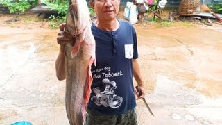 ลาบปลาค้าวใหญ่ต้มหัวซดน้ำ!!