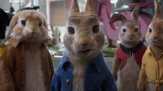 ปีเตอร์ และเหล่าแก๊งขนนุ่มฟูออกลุยได้!!! (สปอยหนัง-เก่า) Peter Rabbit 2018