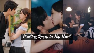 “Planting Roses in His Heart” ♥️ 🥀 <在他心上种蔷薇>