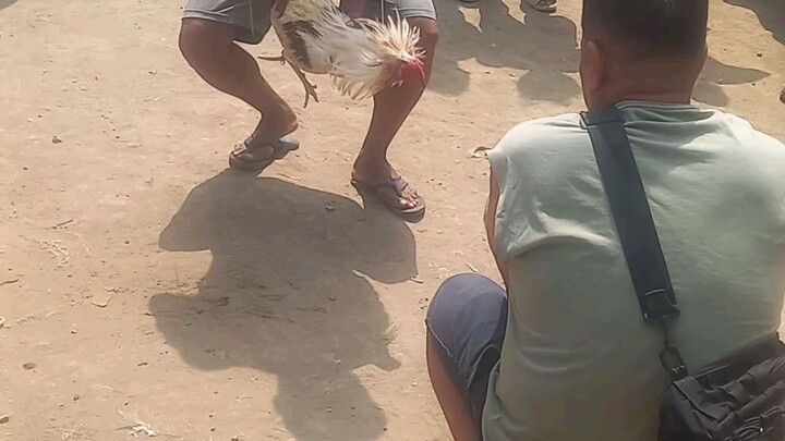 gulang Naka laban panalo parin