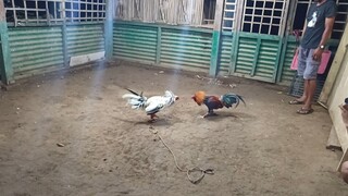 September 10, 2025 sparring exercise