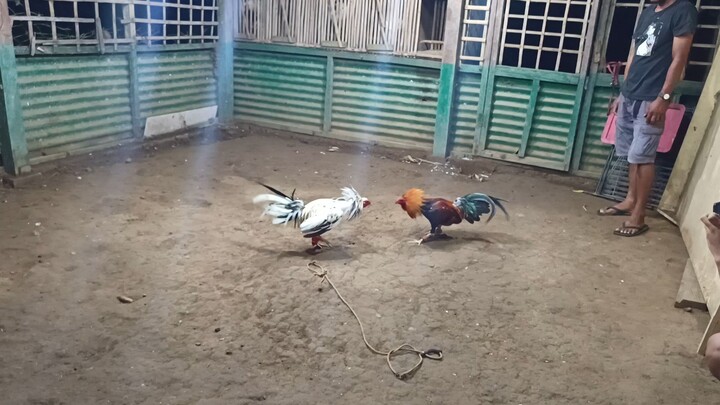 September 10, 2025 sparring exercise