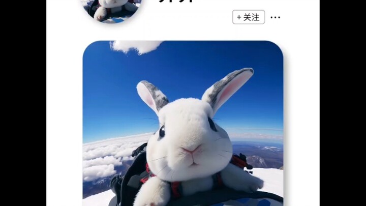 The weirder the profile picture, the hotter the person is.