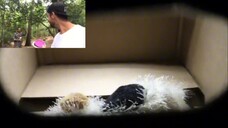 "Everyday Situations" 25: Opening Boxes Parker Zippel's Reaction