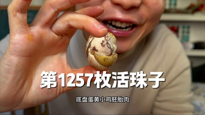 الحبة الحية رقم 1257