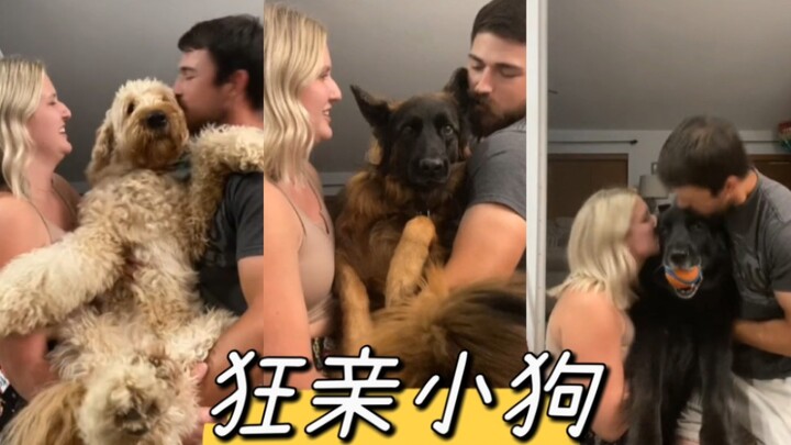 “ماما وبابا! رجاءً سيطروا على أنفسكم!”