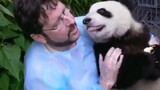 【熊猫】滚滚来到国外一样很得瑟,饲养员们也很无奈啊哈哈