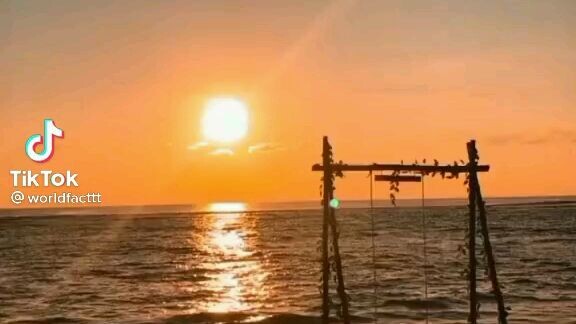 gak tau mau nulis apa