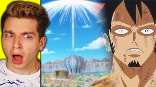 DOFLAMINGO'S BIRD CAGE!! (one piece reaction)