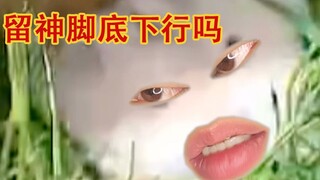 อย่าเหยียบหนูแฮมสเตอร์เทียนจิน