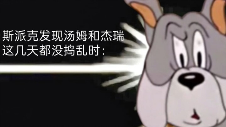 Spike phát hiện có gì đó không ổn