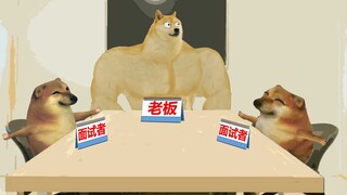 听说你们会韩语，你们两个可以聊一下