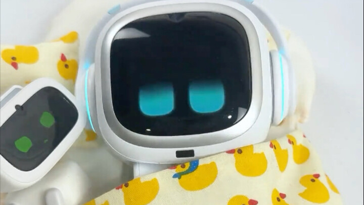 Find aibi a sleep buddy!