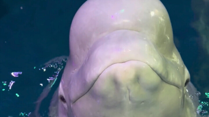 This young couple is really picking on me!