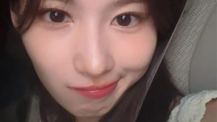 เจ้าหมาน้อยตัวนี้เอ๋อจนเกินควบคุมแล้ว ใครจะมาจัดการสักที?