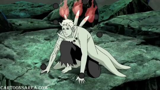 NARUTO SHIPPUDEN