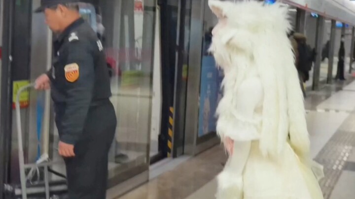 تحدي ارتداء زي الحيوانات والركوب في المترو