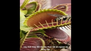 Review Các Bạn Đã Bị Nhà Làm Phim Lừa Là Đây | Review Cuộc Sống Và Con Người | Kênh Hài Hước TV