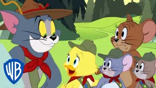 Tom & Jerry | Camping with Tom | @WB Kids