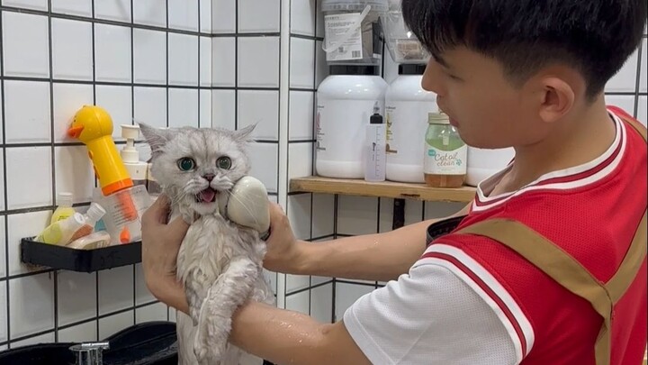 Tập chăm sóc và gội đầu hài hước của Jinjila