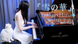 【文艺复兴+秀猫】『雪之华 / 中岛美嘉』深情的钢琴演奏 - 内有雪之喵喵 - Ru's Piano