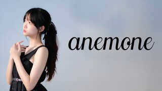 【水水】anemone