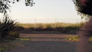 Watch #2