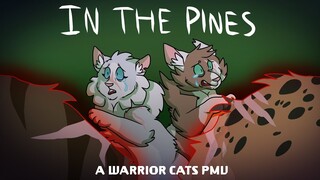 IN THE PINES // Antpelt and Beetlewhisker PMV [WARRIOR CATS]