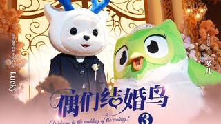 الحلقة الثالثة من "نحن نتزوج يا عصفور" | انعطافات متتالية!