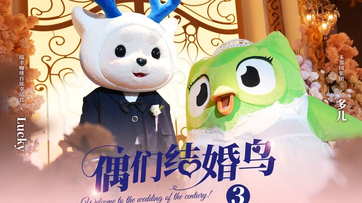 《偶们结婚鸟》第三集|反转再反转！