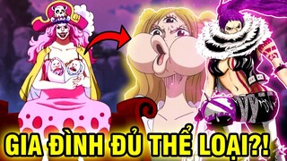 CÁC CHỦNG LOÀI TRONG GIA ĐÌNH BIG MOM TRONG ONE PIECE